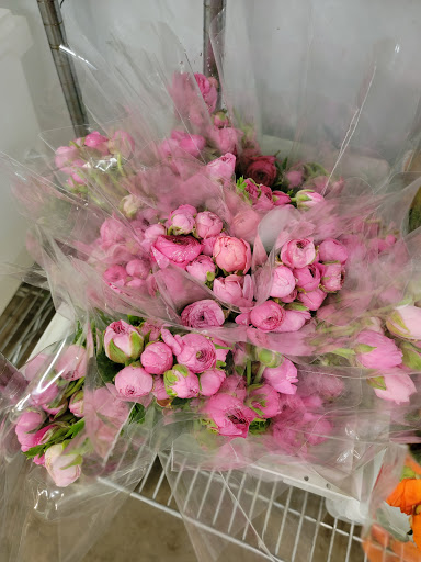Florist «Botanica Wholesale Florist», reviews and photos, 3208 International Pl, Irving, TX 75062, USA