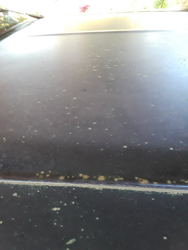 Community Center «Melrose Park», reviews and photos, 1001 Canino Rd, Houston, TX 77076, USA