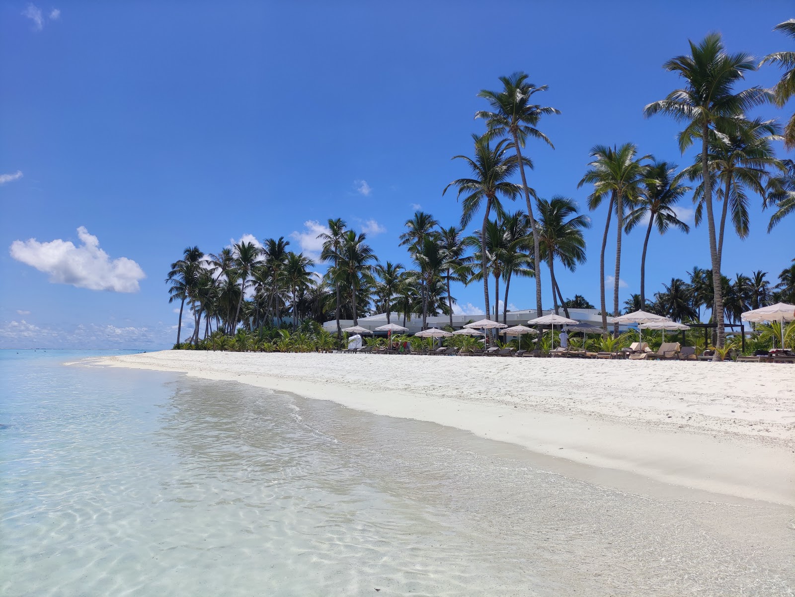 Foto av Riu Resort Beach och bosättningen