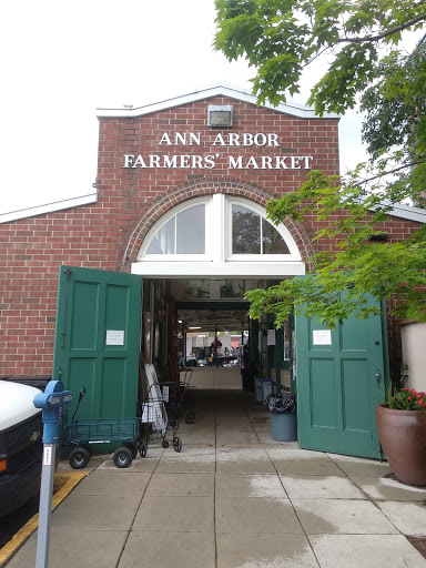 Explore tattoo ideas for back of hand, creative tattoo ideas in Ann Arbor, available at Spiral Tattoo