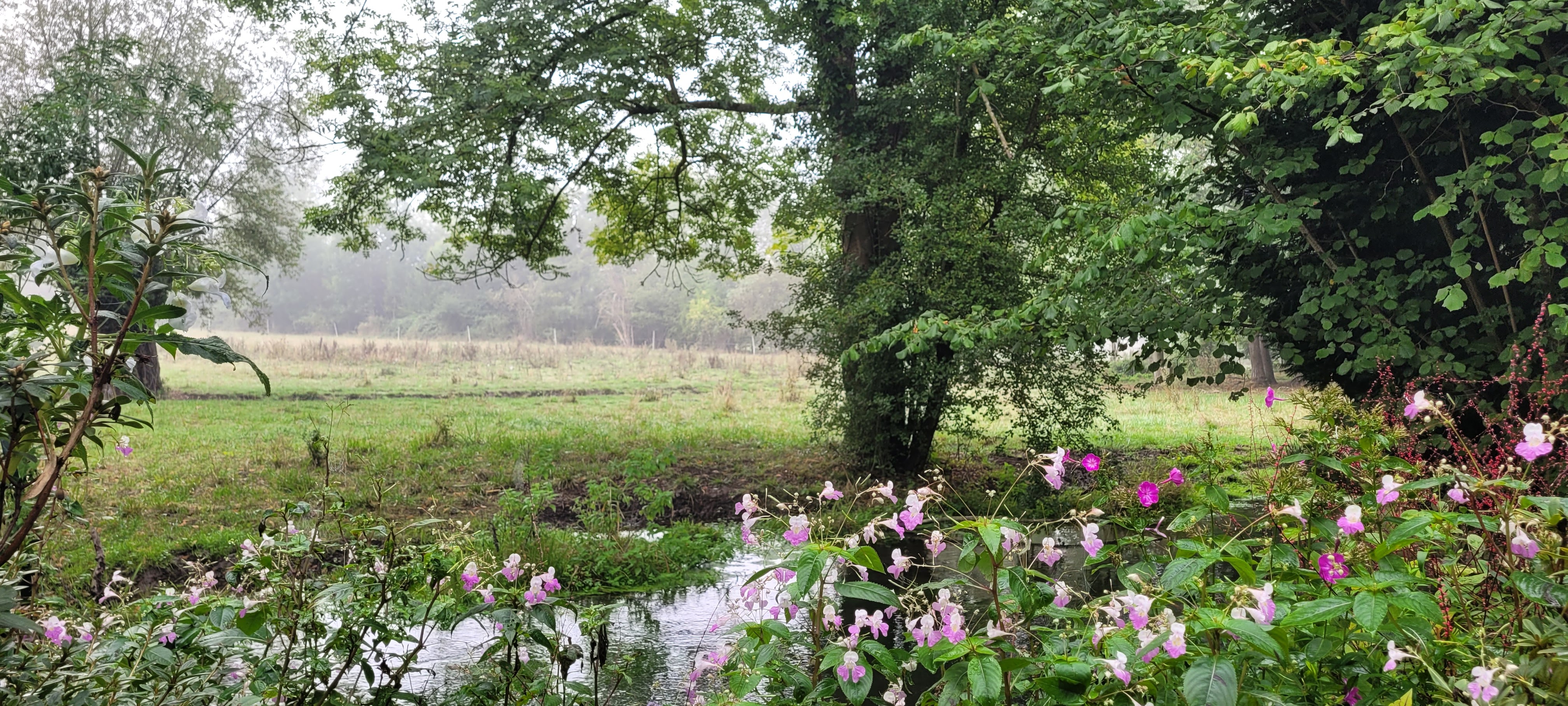 Photo n° 1 de l'avis de Marjolaine.A fait le 24/09/2022 à 10:39