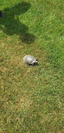 Golf Course «Turtle Creek Golf Course at the Garden Cathay», reviews and photos, 219 Plattekill Ardonia Rd, Wallkill, NY 12589, USA