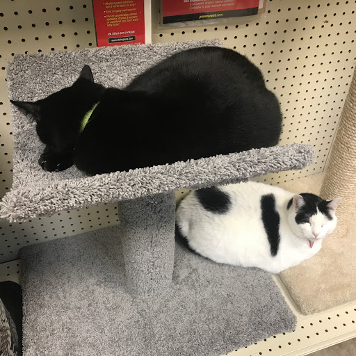 Pet Supply Store «Living Things», reviews and photos, 3437 PA-309, Orefield, PA 18069, USA