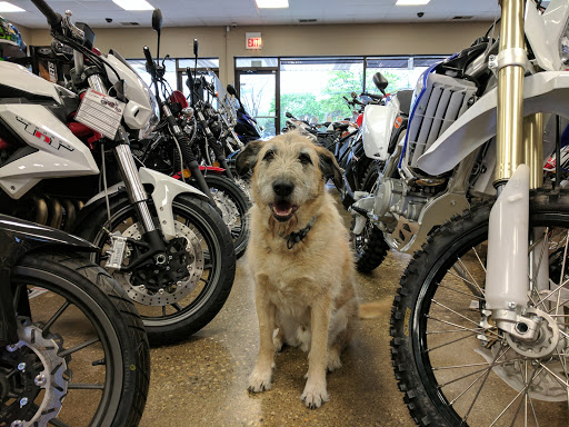 Motorcycle Shop «Top Gear Powersports», reviews and photos, 487 N Roselle Rd, Roselle, IL 60172, USA