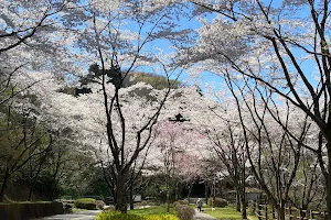 Fukushima Prefectural Iwaki Park image