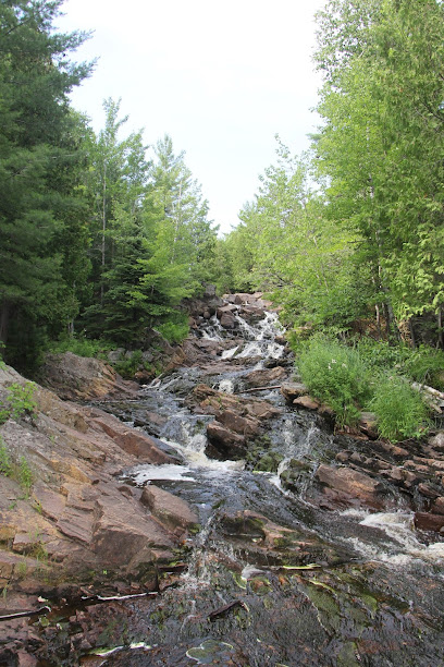 Widdifield Forest Provincial Park