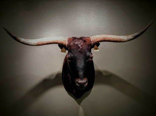 Museum «National Ranching Heritage Center», reviews and photos, 3121 4th St, Lubbock, TX 79409, USA