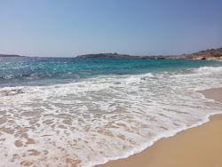 Armathia Beach'in fotoğrafı vahşi alan