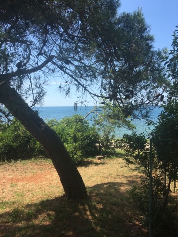 HACIENDA d.o.o. - Umag