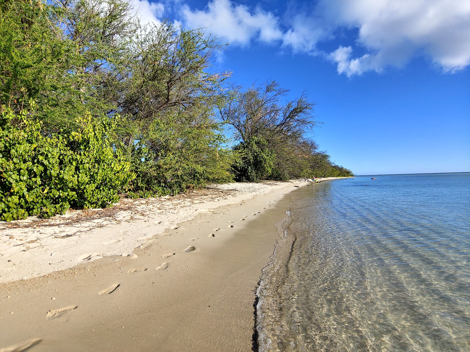 Foto de Kamehameha Beach e o assentamento