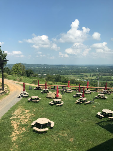 Winery «Bluemont Vineyard», reviews and photos, 18755 Foggy Bottom Rd, Bluemont, VA 20135, USA