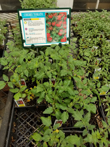 Florist «Lyndhurst Florist», reviews and photos, 5268 Mayfield Rd, Lyndhurst, OH 44124, USA