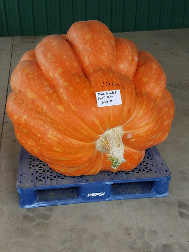 Performing Arts Theater «Milton Performing Arts Center», reviews and photos, 1 Pumpkin Way, Milton, WV 25541, USA