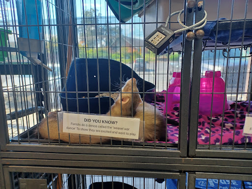 Pet Supply Store «Petco Animal Supplies», reviews and photos, 9078 SE Sunnyside Rd, Clackamas, OR 97015, USA