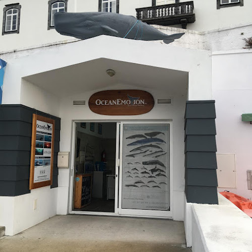 Comentários e avaliações sobre o OceanEmotion | The Whale Watching in Terceira