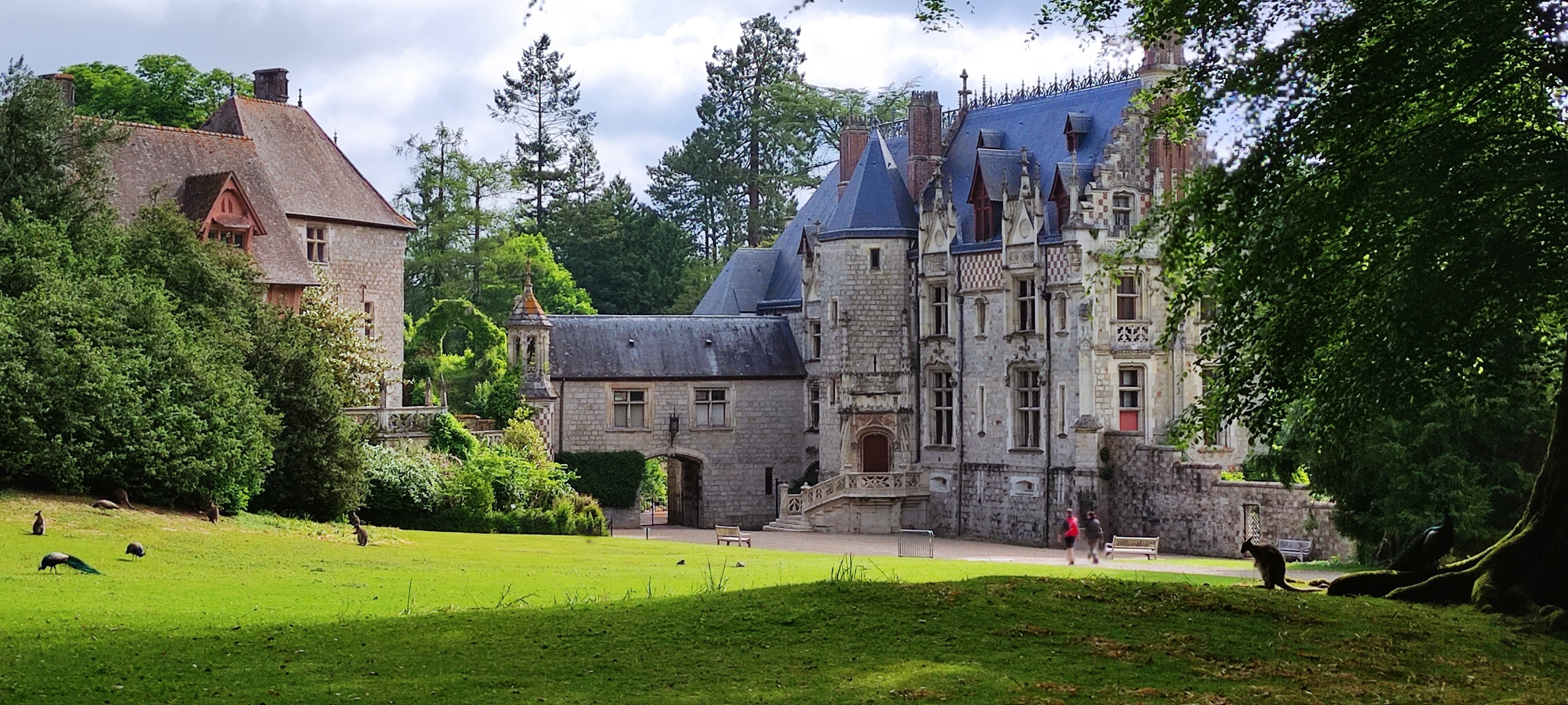 Photo n° 6 de l'avis de Christophe.h fait le 22/05/2022 à 06:02