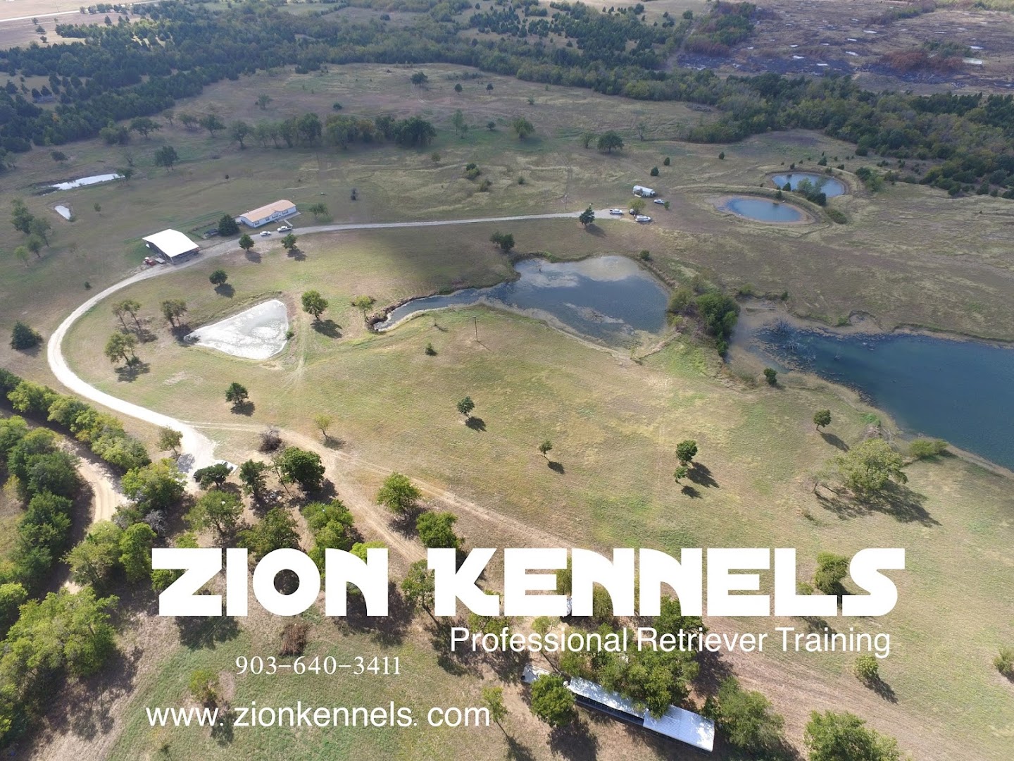 Zion Kennels - Professional Retriever Training for Waterfowl and AKC Field Trials and Hunt Tests