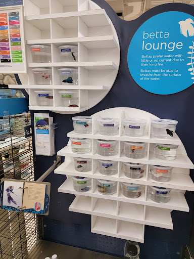 Pet Supply Store «Petco Animal Supplies», reviews and photos, 1065 Kennedy Rd, Windsor, CT 06095, USA