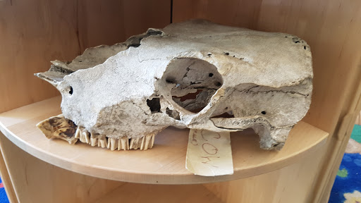 Recreation Center «Little Red Schoolhouse Nature Center», reviews and photos, 9800 Willow Springs Rd, Willow Springs, IL 60480, USA