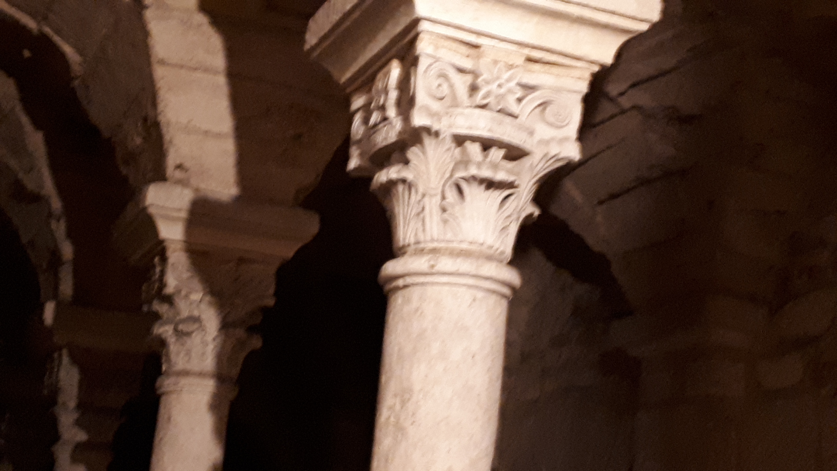 Photo n° 6 de l'avis de Tinus.e fait le 26/05/2019 à 16:58