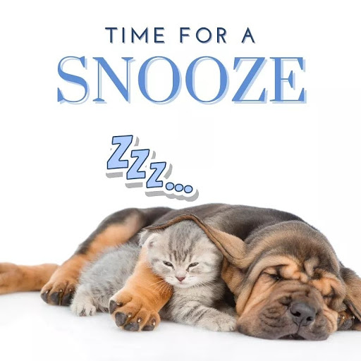 Pet Store «For Healthy Pets!», reviews and photos, 5165 Atlanta Hwy, Montgomery, AL 36109, USA