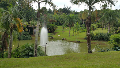 Jardín Botánico de Río Piedras Para la Naturaleza