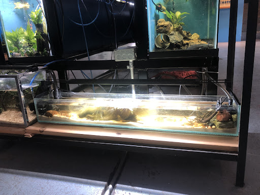 Pet Store «The Pet Works», reviews and photos, 407 4th Ave E, Olympia, WA 98501, USA