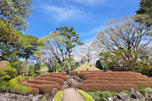 Sunpu Castle Park Momijiyama Garden image