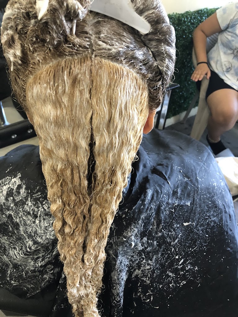 Aida Dominican Style Beauty Salon Dorchester, MA 02121 Services and