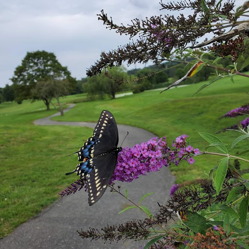 Golf Course «Geneva Farm Golf Course», reviews and photos, 217 Davis Rd, Street, MD 21154, USA