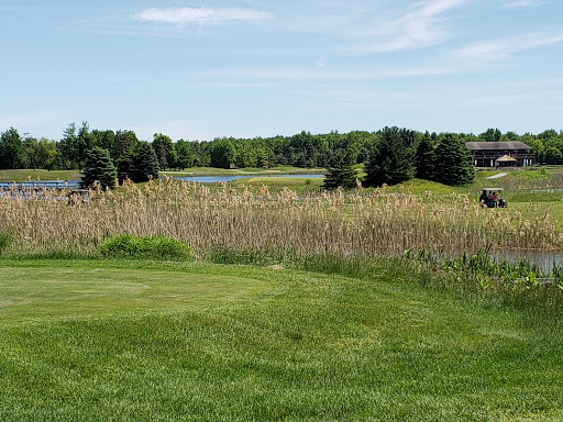 Public Golf Course «Solitude Links Golf Course and Banquet Center», reviews and photos, 5810 Flinchbaugh Rd, Kimball, MI 48074, USA