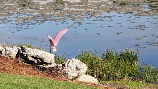 Country Club «Kelly Greens Golf & Country Club», reviews and photos, 12300 Kelly Greens Blvd, Fort Myers, FL 33908, USA