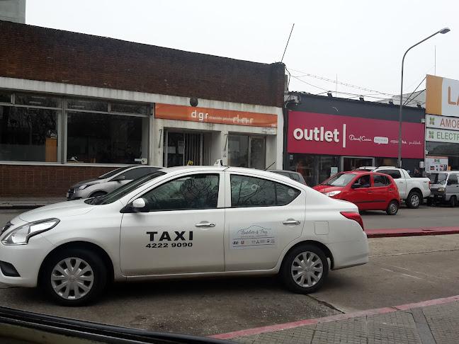 Opiniones de Taxi Colonial en Rocha - Servicio de taxis