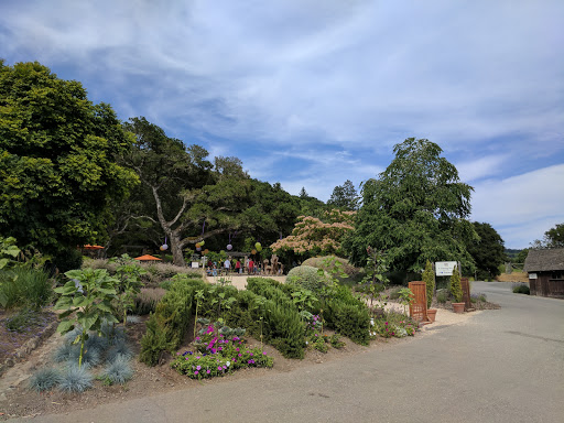 Winery «Matanzas Creek Winery», reviews and photos, 6097 Bennett Valley Rd, Santa Rosa, CA 95404, USA