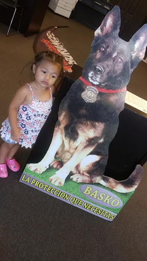 Insurance Agency «Veronicas Insurance Services», reviews and photos