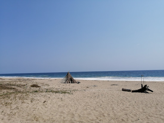Playa El Carrizal