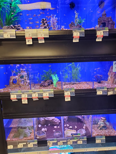 Pet Supply Store «PetSmart», reviews and photos, 601 Centerview Blvd, Kissimmee, FL 34741, USA