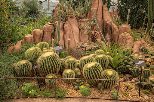 Botanical Garden «Mitchell Park Horticultural Conservatory», reviews and photos, 524 S Layton Blvd, Milwaukee, WI 53215, USA