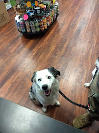 Naturally Unleashed Pet Nutrition Center - Photo 6 - Car repair in Fayetteville, NC, Fayetteville