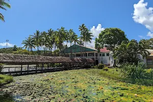 Pacific Harbour Arts Village image