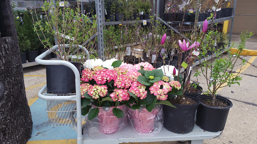 Hardware Store «Buchheit of House Springs», reviews and photos, 4550 Gravois Rd, House Springs, MO 63051, USA