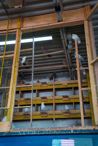 Auto Repair Shop «Arkan Auto Repair and Transmission», reviews and photos, 1029 Millbury St, Worcester, MA 01607, USA