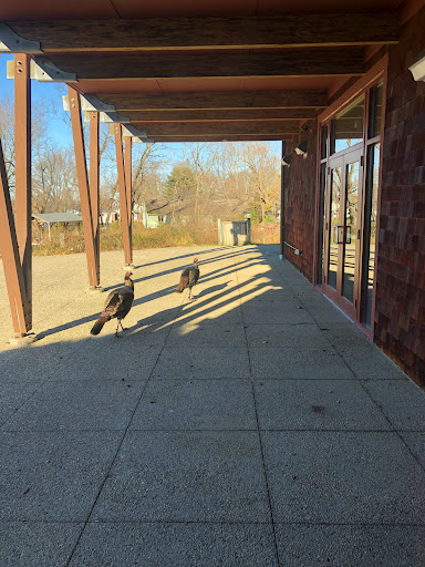 Educational Institution «The Audubon Society of Rhode Island Environmental Education Center», reviews and photos, 1401 Hope St, Bristol, RI 02809, USA