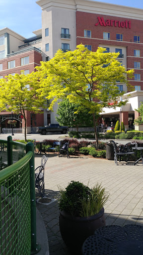 Ice Cream Shop «Cold Stone Creamery», reviews and photos, 7349 164th Ave NE I 123, Redmond, WA 98052, USA