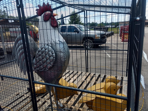 Home Improvement Store «Tractor Supply Co.», reviews and photos, 1159 OH-32, Batavia, OH 45103, USA