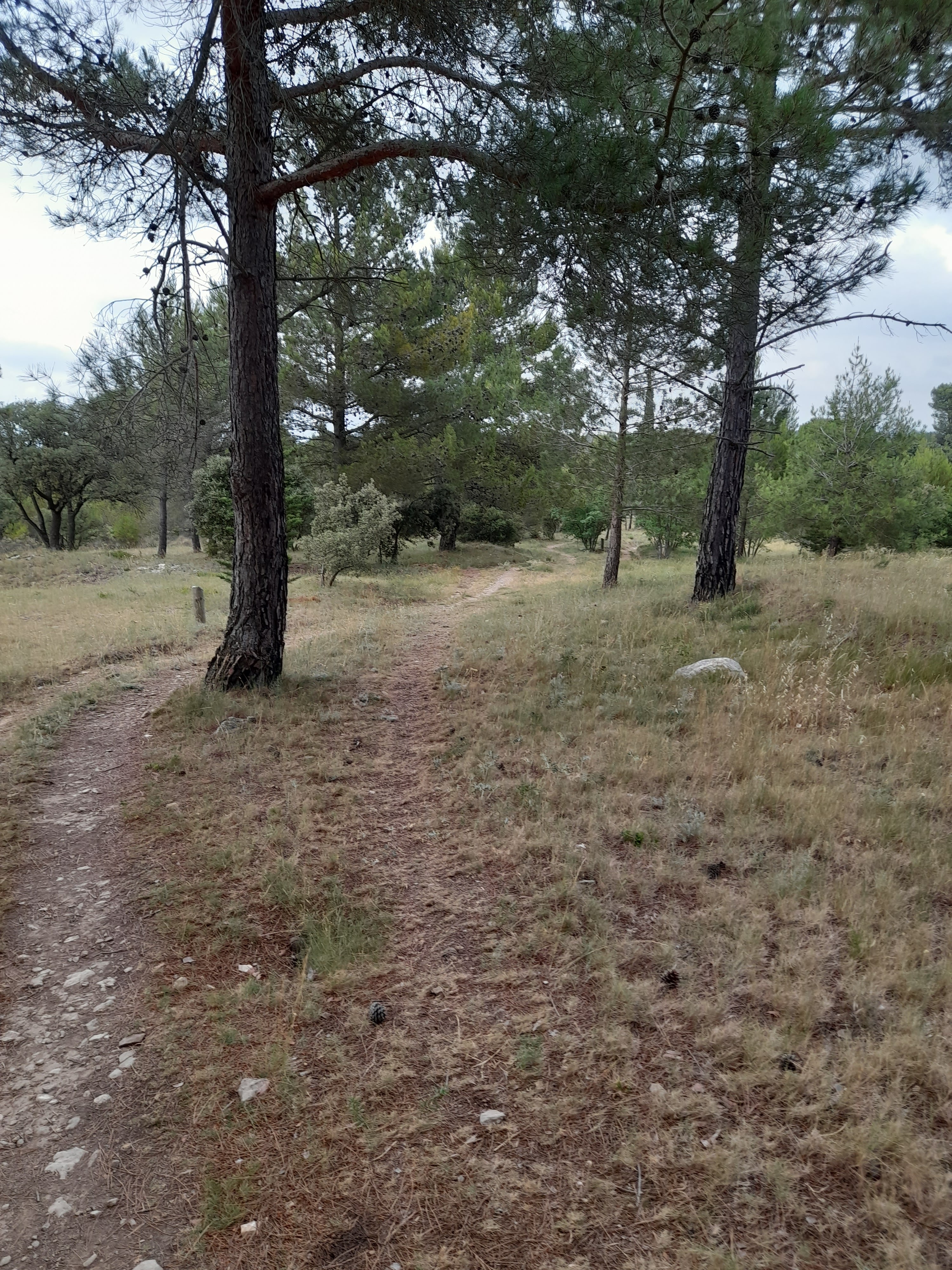 Photo n° 16 de l'avis de Bilbon.A fait le 20/06/2022 à 20:00