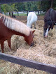 Escadron Du Grand Parc Neyron