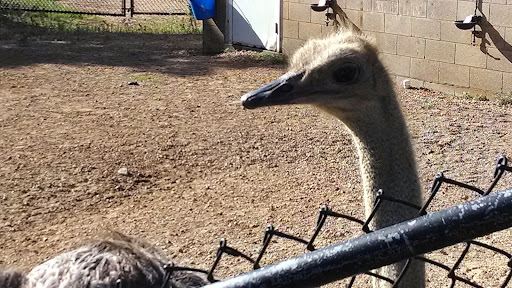 Amusement Park «Como Town», reviews and photos, 1301 Midway Pkwy, St Paul, MN 55103, USA