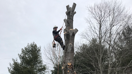 Superior Asphalt Maintenance & Tree Experts