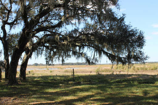 Winery «Florida Estates Winery», reviews and photos, 25241 FL-52, Land O Lakes, FL 34639, USA